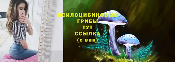 гашиш Арсеньев