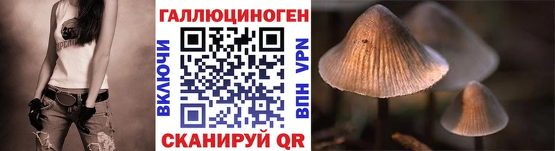 Галлюциногенные грибы Psilocybine cubensis Кореновск