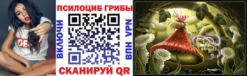 Купить где  Кореновск  Псилоцибиновые грибы прущие грибы 